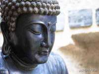 上海而萨而网络科技有限公司