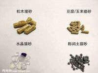 上海而萨而网络科技有限公司