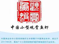 上海而萨而网络科技有限公司